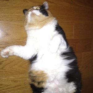 Meet your Posher, Bethany